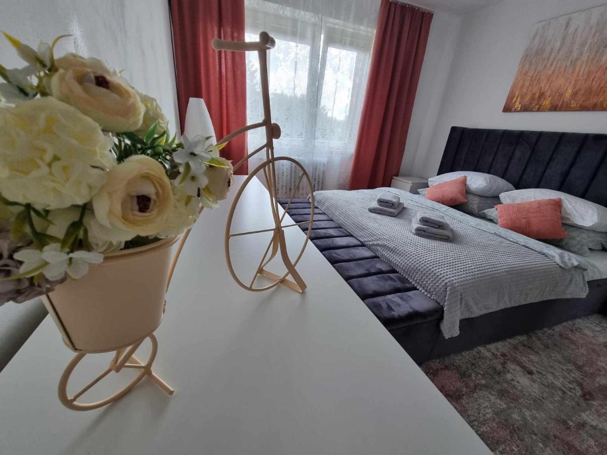 Prostorny Byt V Centru U Reky, 2 Loznice, Balkon Hradec Králové Esterno foto