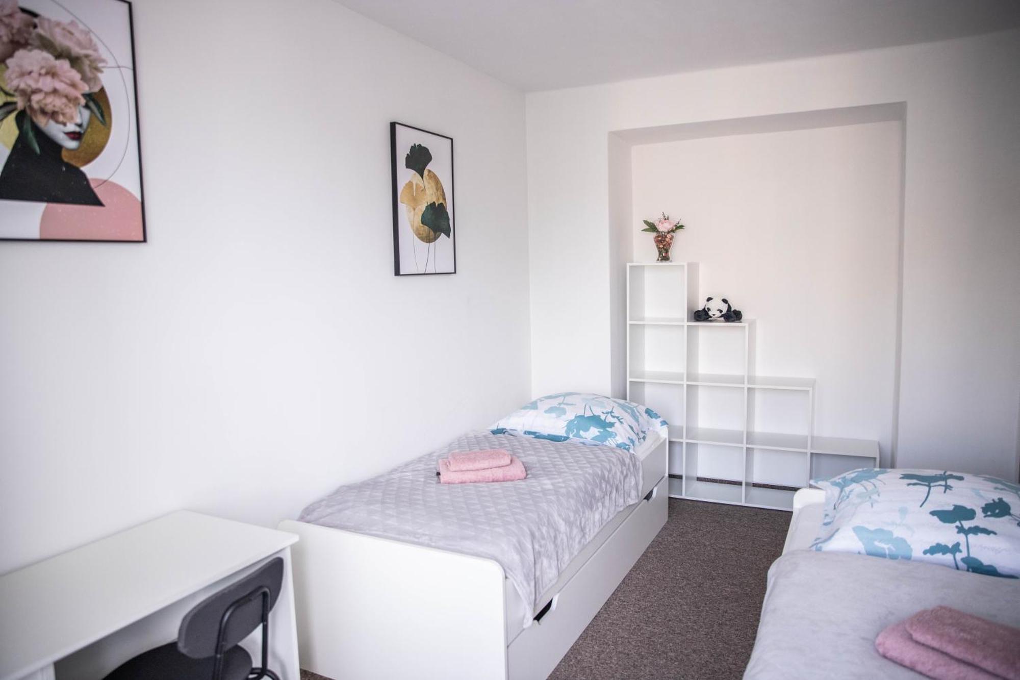 Prostorny Byt V Centru U Reky, 2 Loznice, Balkon Hradec Králové Esterno foto